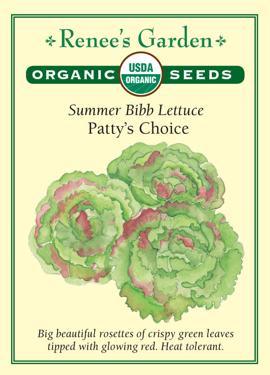 Lettuce Patty's Choice Organic