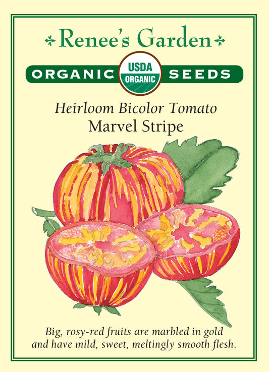 Tomato Marvel Stripe Organic