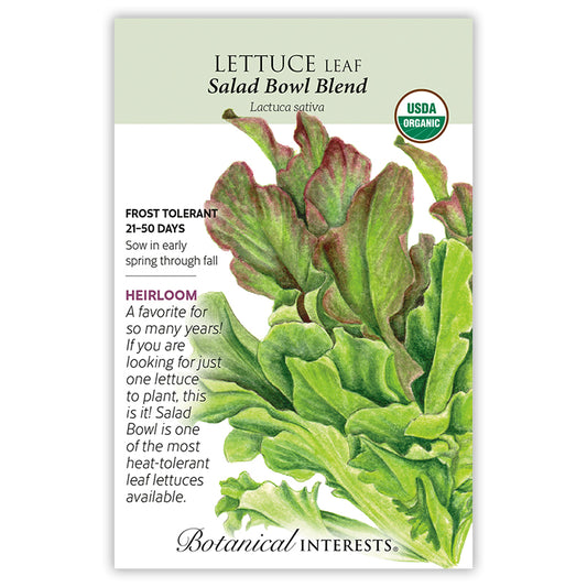 Lettuce Salad Bowl Blend Organic