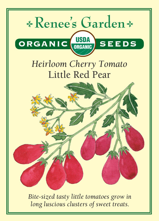 Tomato Little Red Pear Organic