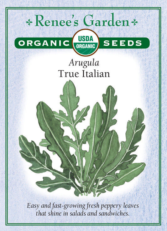 Arugula True Italian Organic
