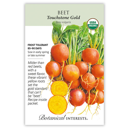 Beet (gold) Touchstone Gold