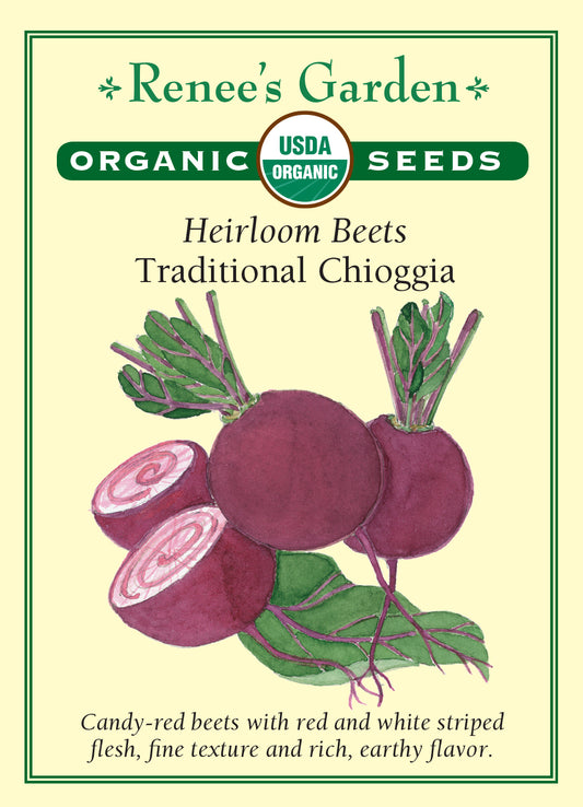 Beet Chioggia Organic