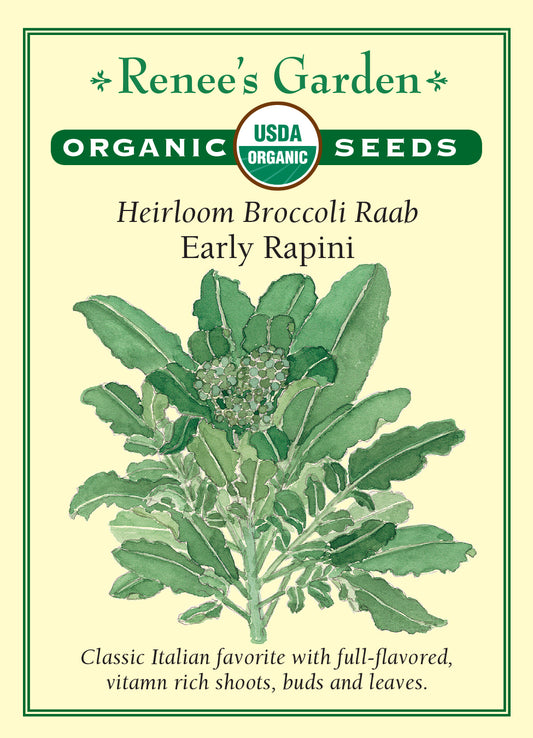 Broccoli Raab Super Rapini Organic