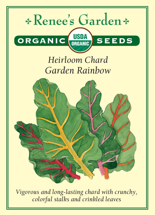 Chard Garden Rainbow Organic