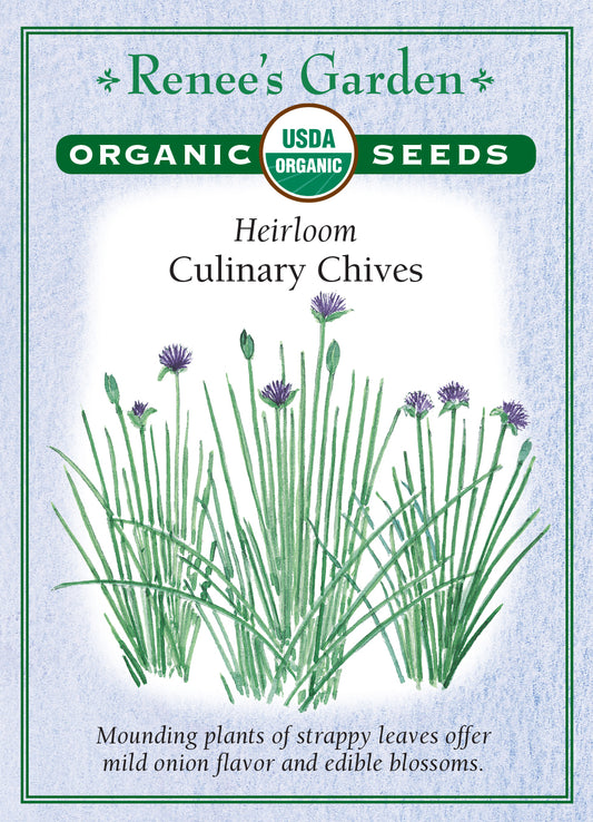 Chives Culinary Organic