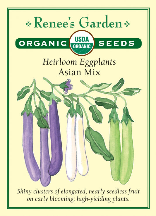 Eggplant Asian Mix Organic