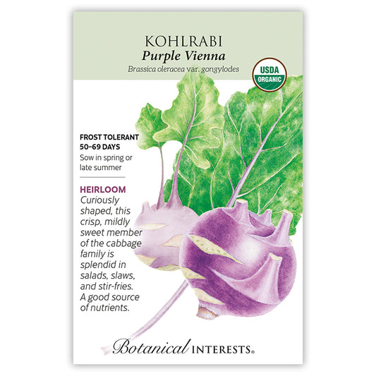 Kohlrabi Purple Vienna Organic