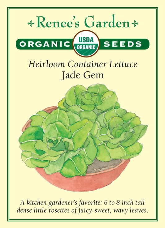 Lettuce Jade Gem Organic