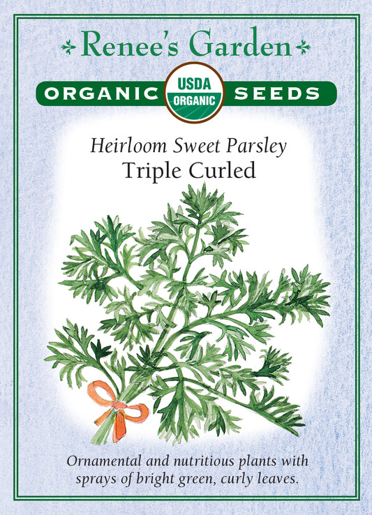 Parsley Triple Curled Organic