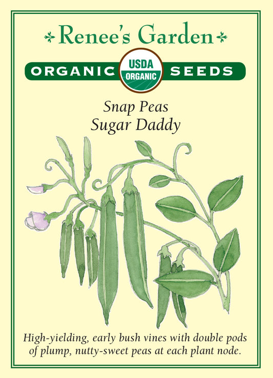 Pea Snap Sugar Daddy Organic