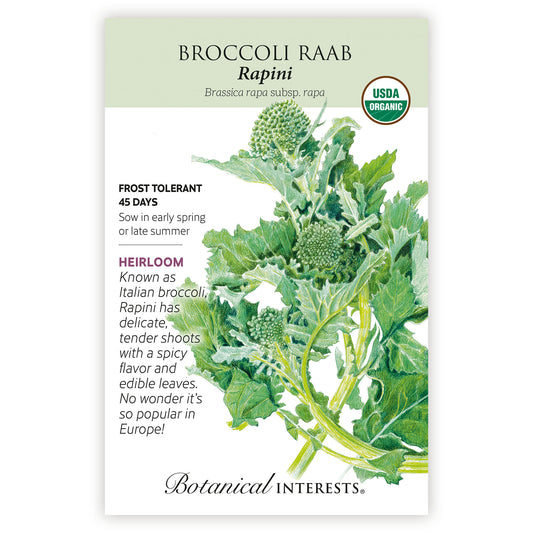 Broccoli Raab Rapini Organic