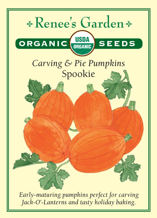 Pumpkin Spookie Carving and Pie