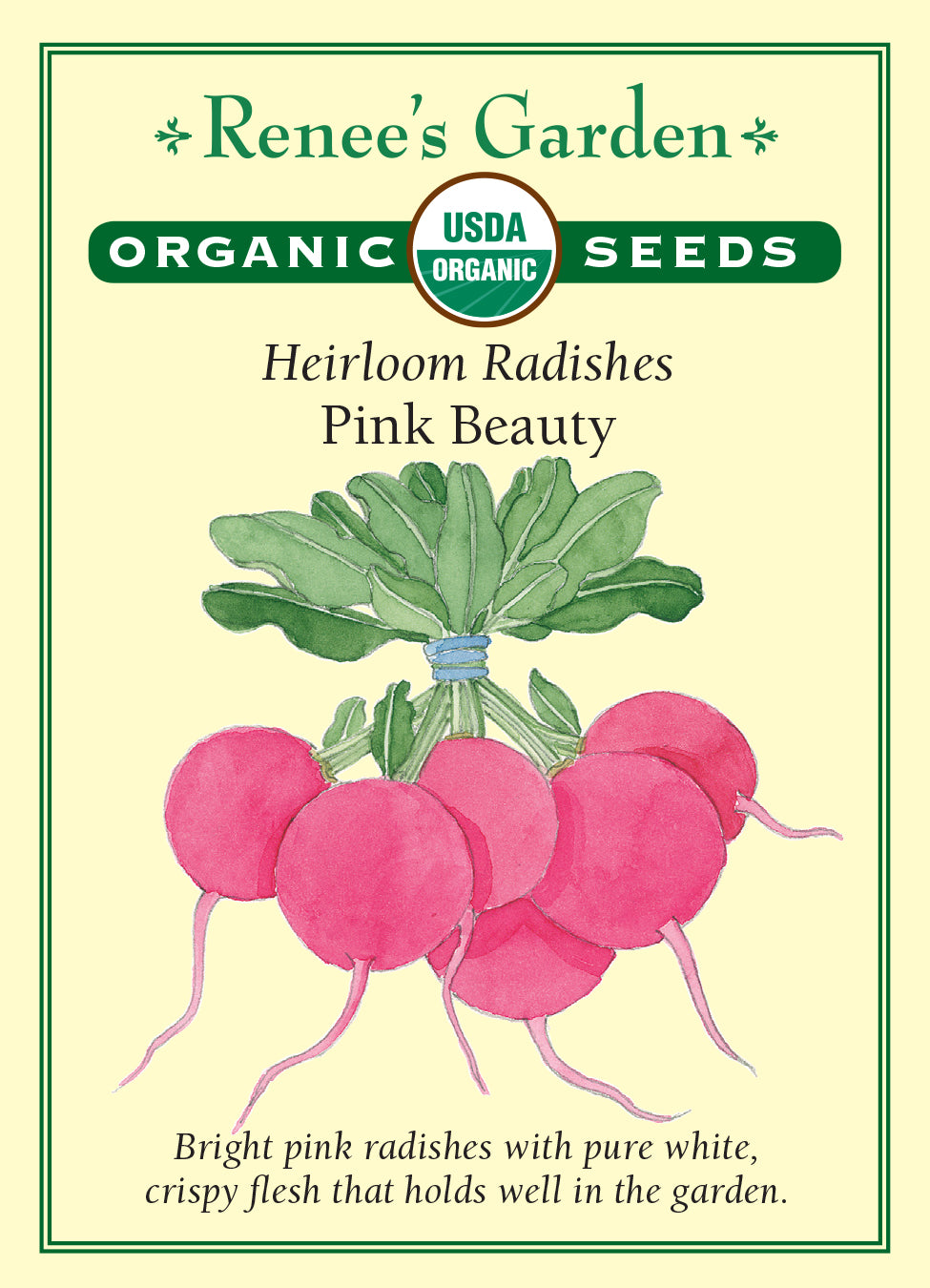 Radish Pink Beauty Organic