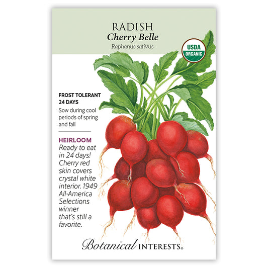 Radish Cherry Belle Organic