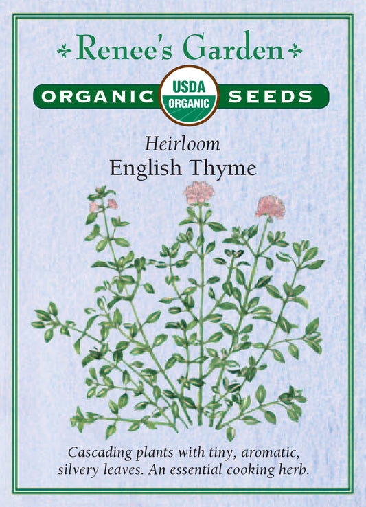 English Thyme Organic