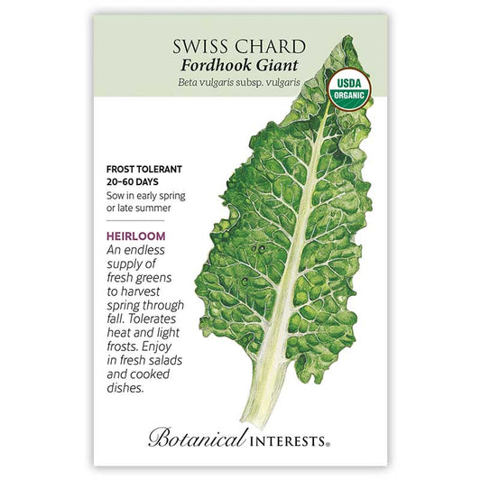 Swiss Chard Fordhook Giant Organic