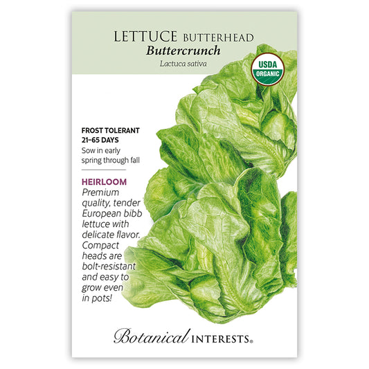 Lettuce  Buttercrunch Organic