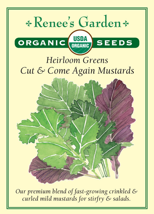 Greens Mustard Cut & Come Again Organic