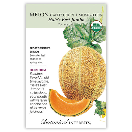Melon Hales Best Jumbo Organic