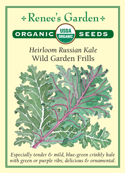Kale Wild Garden Frills Organic