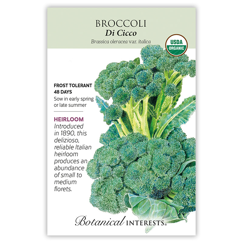 Broccoli  Di Cicco Organic
