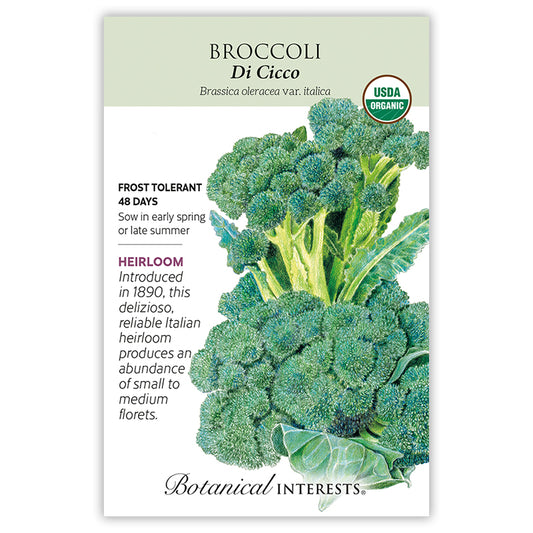 Broccoli  Di Cicco Organic