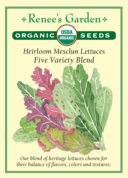 Lettuce Five Variety Blend Organic