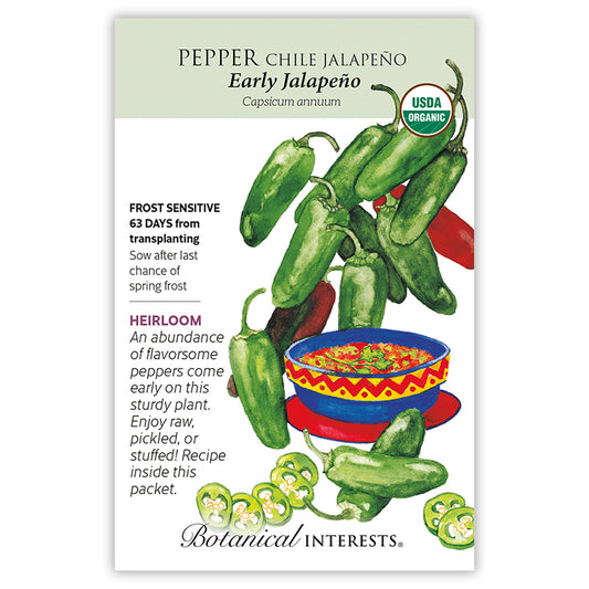 Pepper Chile Jalapeno Early Organic