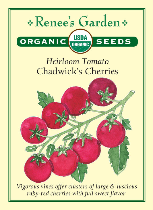 Tomato Chadwicks Cherries Organic