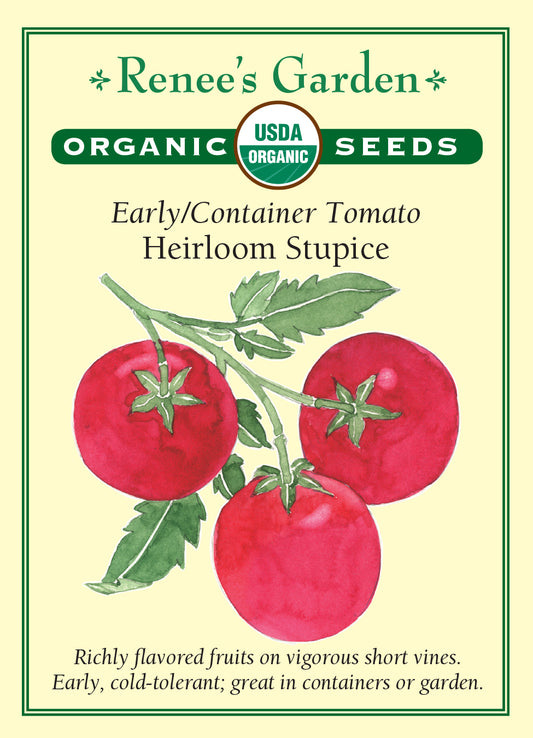Tomato Stupice Organic Container