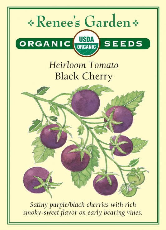 Tomato Black Cherry Organic