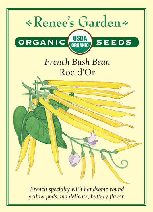Bean Bush Roc D'Or Organic
