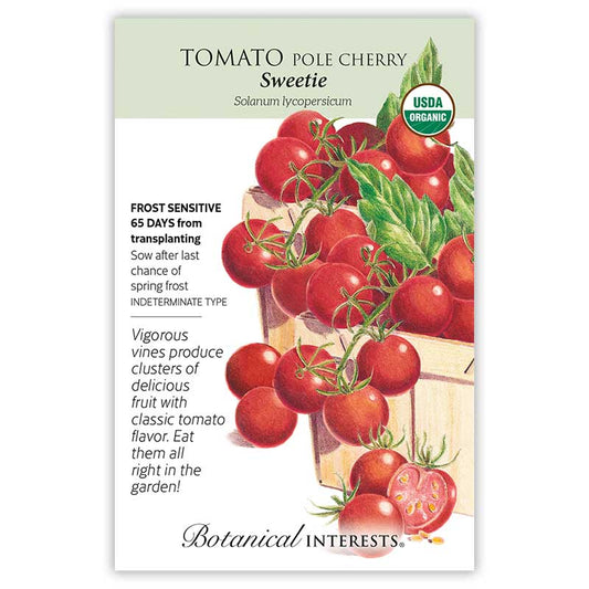 Tomato Cherry Sweetie Organic