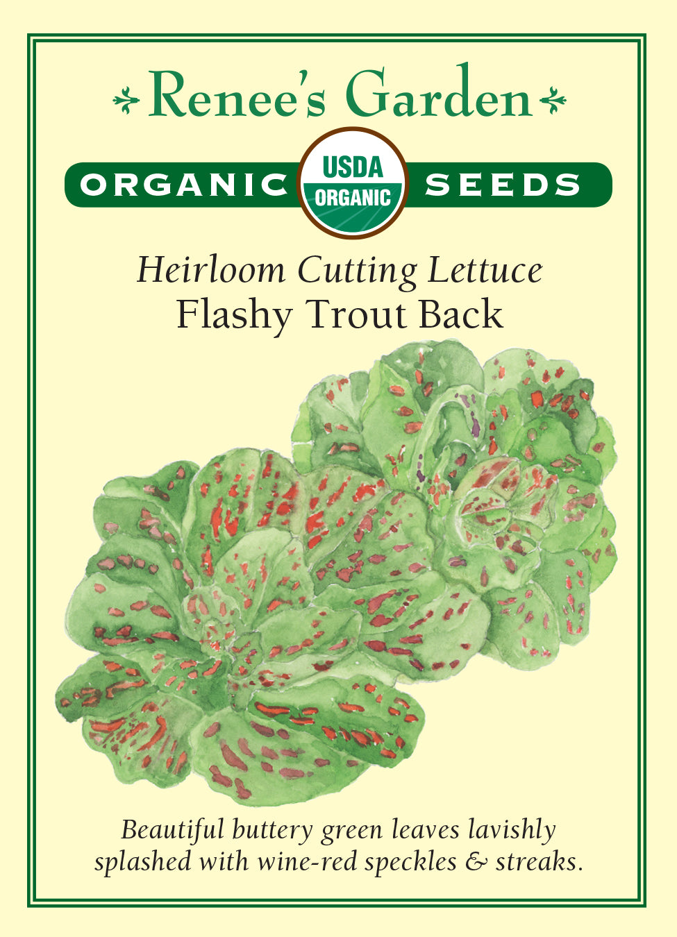 Lettuce Falshy Trout Back Organic