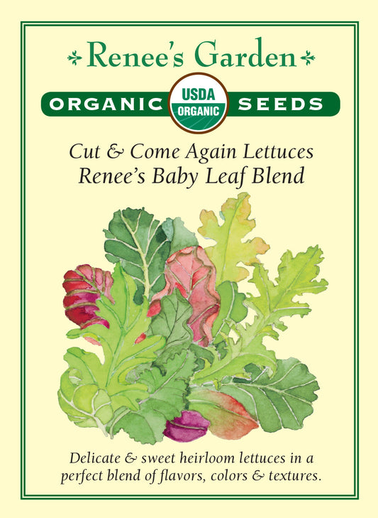 Lettuce Renee's Special Baby Leaf Organic
