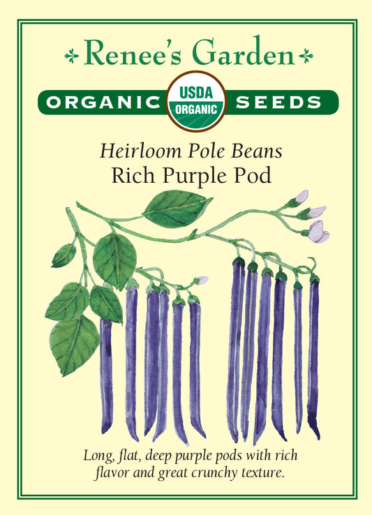 Bean Pole Purple Pod Organic