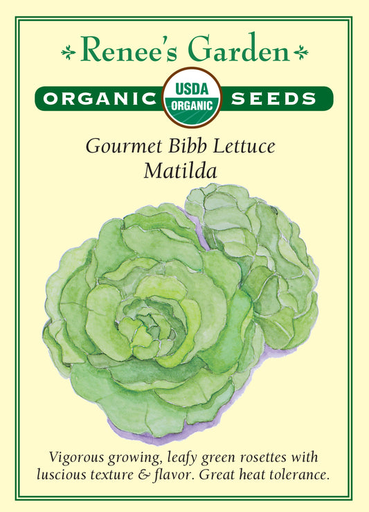 Lettuce Matilda Bibb Organic