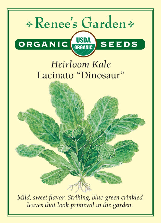 Kale Lacinato Organic