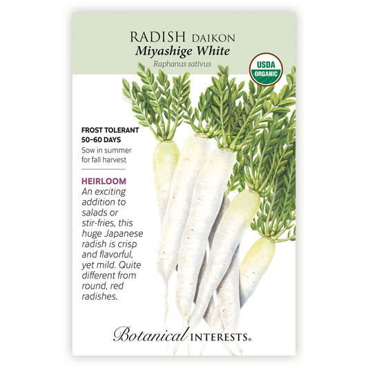 Radish Daikon White Organic
