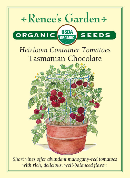 Tomato Tasmanian Chocolate Organic
