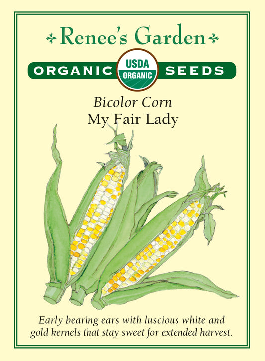 Corn  My Fair Lady Bicolor Organic