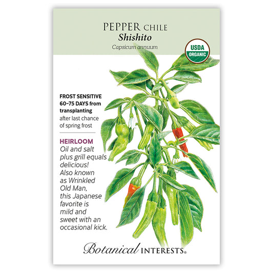 Pepper Chile Shishito Organic