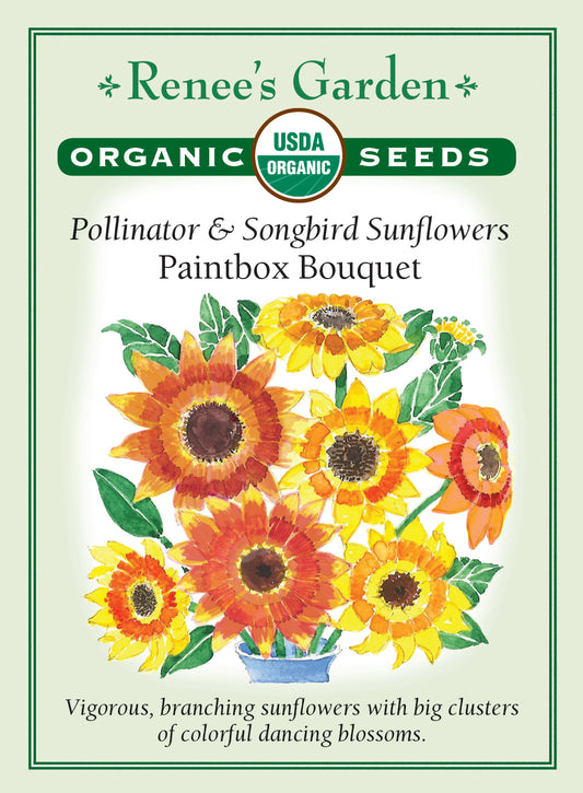 Sunflower Paintbox Bouquet Organic