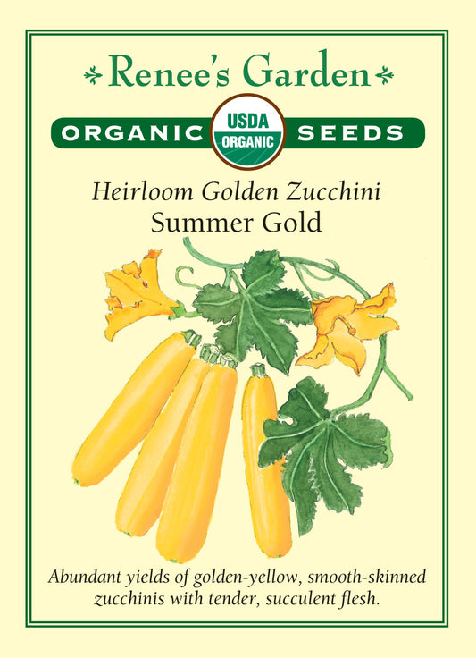 Squash Summer  Zucchini Summer Gold Organic