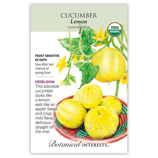 Cucumber Lemon Organic