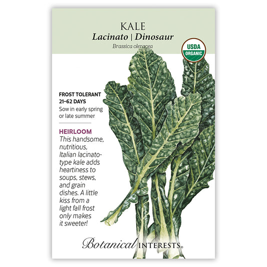 Kale Lacinato/ Dinosaur Organic