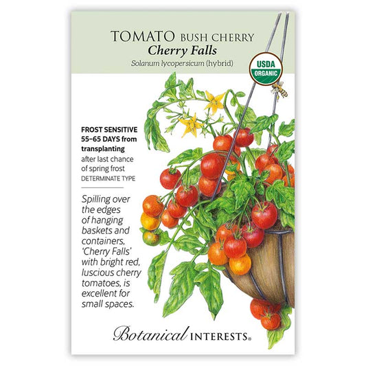 Tomato Cherry Falls Organic