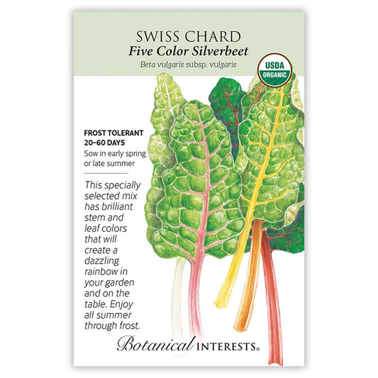 Swiss Chard Five Color Organic