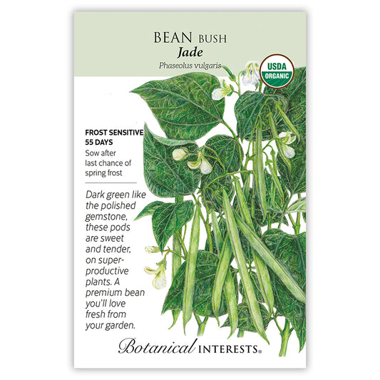 Bean Bush Jade Organic